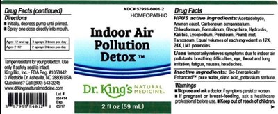 image description - indoor air pollution detox